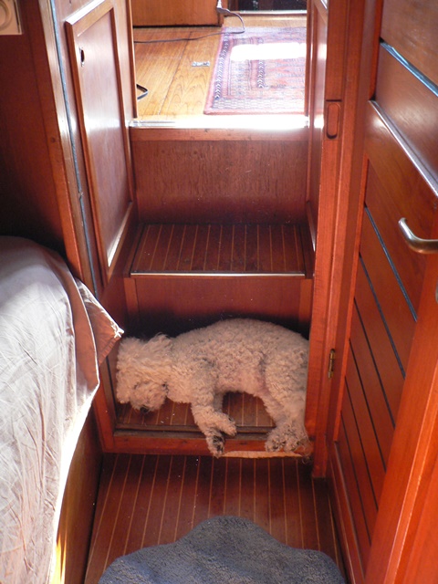 Exhausted After The Hike